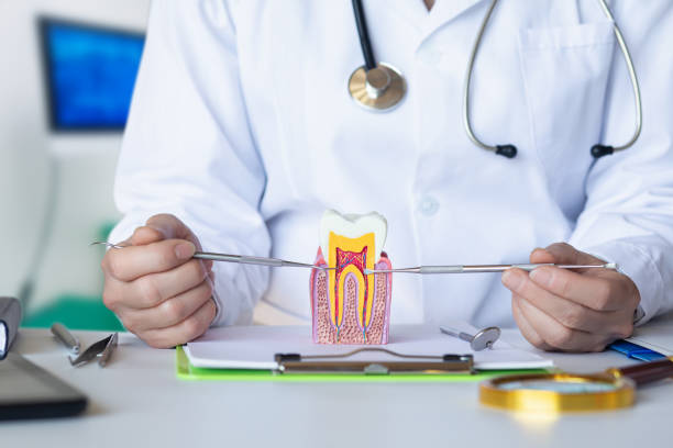 Best Pediatric Emergency Dentist in Good Hope, CA